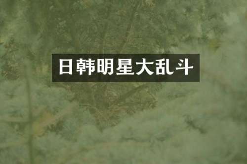 日韩明星大乱斗