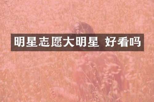 明星志愿大明星 好看吗