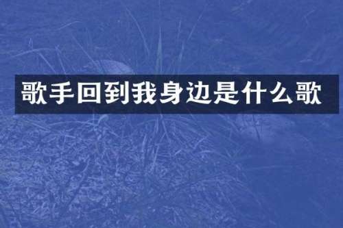 歌手回到我身边是什么歌