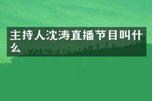 主持人沈涛直播节目叫什么