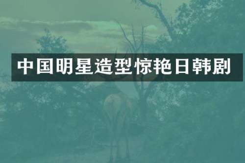 中国明星造型惊艳日韩剧