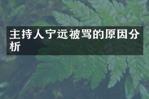 主持人宁远被骂的原因分析