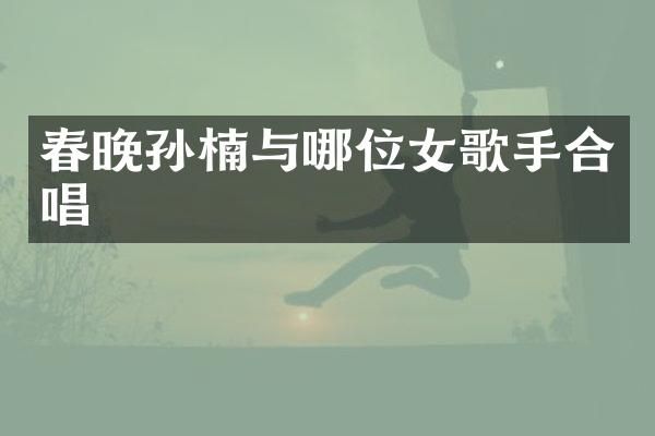 孙楠与哪位女歌手合唱
