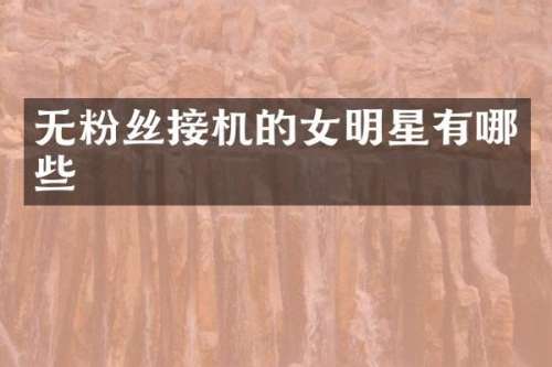 无粉丝接机的女明星有哪些