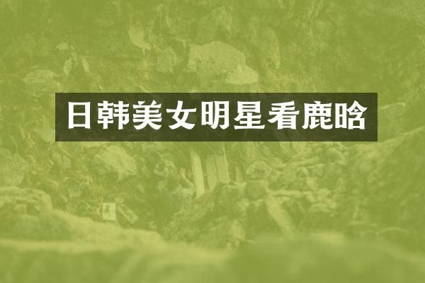 日韩明星看鹿晗