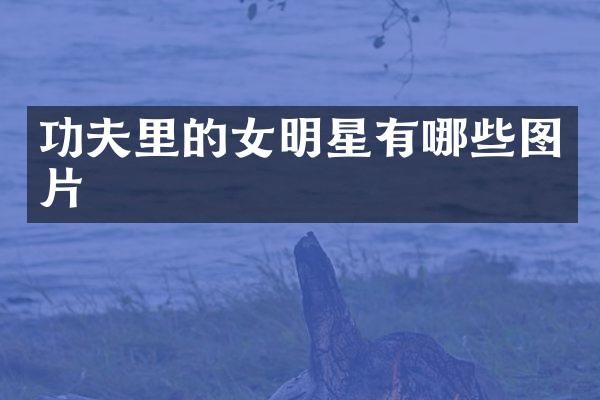 功夫里的女明星有哪些图片