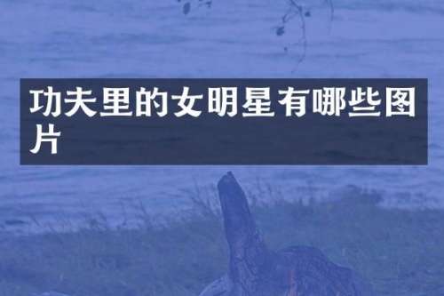 功夫里的女明星有哪些图片
