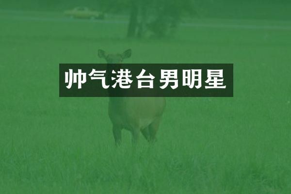 帅气港台男明星