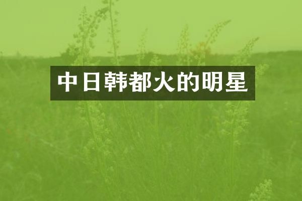 中日韩都火的明星