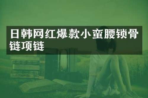 日韩网红爆款小蛮腰锁骨链项链
