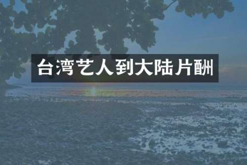 台湾艺人到大陆片酬