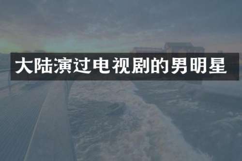 大陆演过电视剧的男明星