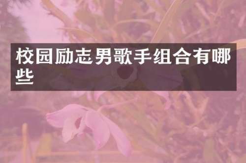 校园励志男歌手组合有哪些