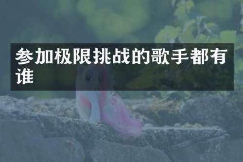 参加极限挑战的歌手都有谁