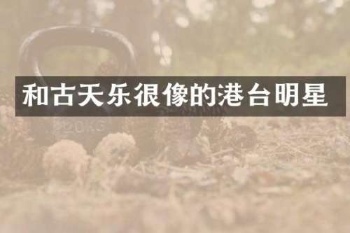 和古天乐很像的港台明星