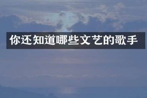 你还知道哪些文艺的歌手