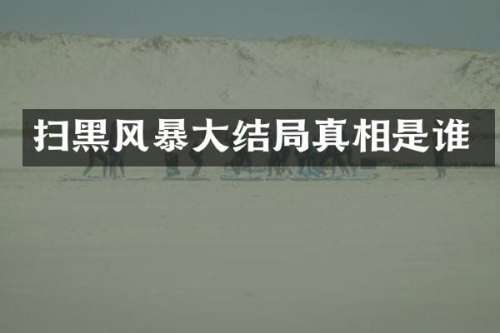 扫黑风暴大结局真相是谁
