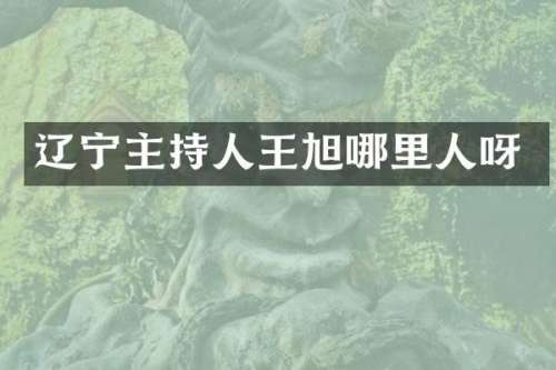 辽宁主持人王旭哪里人呀
