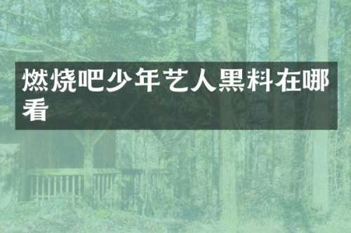 燃烧吧少年艺人黑料在哪看