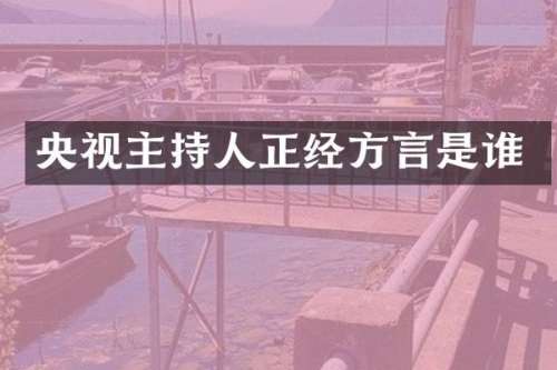 央视主持人正经方言是谁