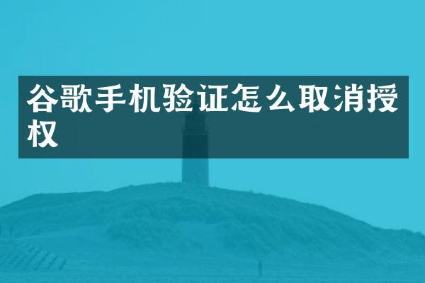 谷歌手机验证怎么取消授权