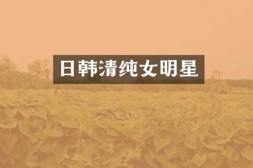 日韩清纯女明星