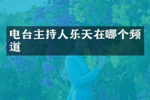 电台主持人乐天在哪个频道