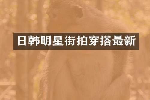日韩明星街拍穿搭最新
