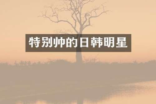 特别帅的日韩明星