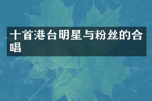 十首港台明星与粉丝的合唱
