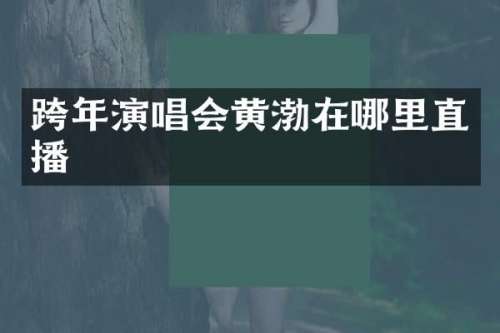 跨年演唱会黄渤在哪里直播