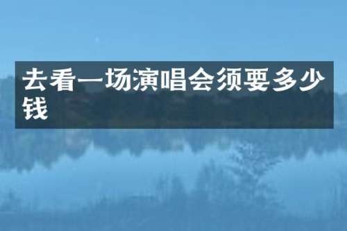 去看一场演唱会须要多少钱