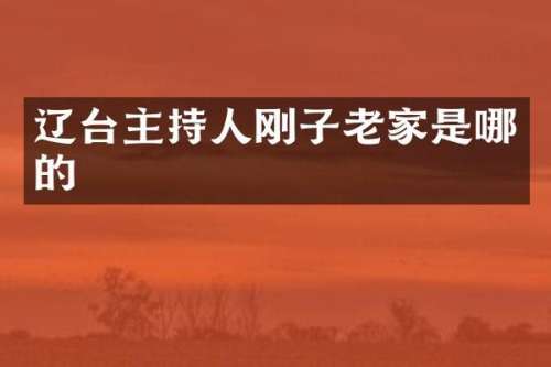 辽台主持人刚子老家是哪的