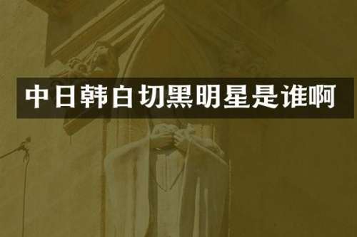中日韩白切黑明星是谁啊