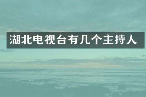 湖北电视台有几个主持人