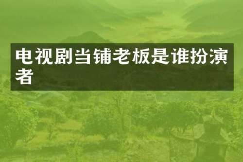 电视剧当铺老板是谁扮演者