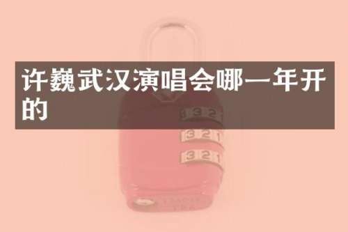 许巍武汉演唱会哪一年开的