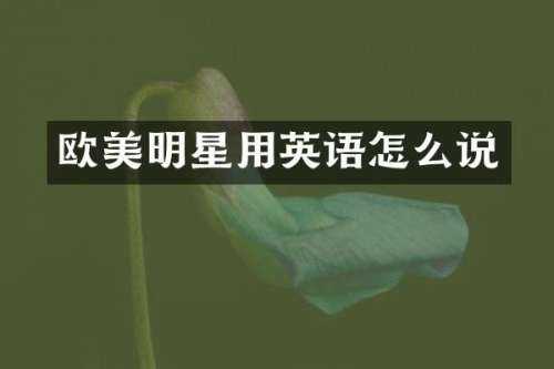欧美明星用英语怎么说