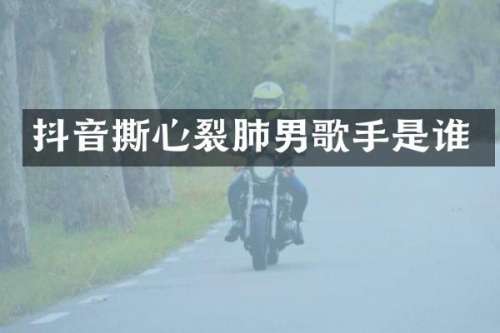 抖音撕心裂肺男歌手是谁