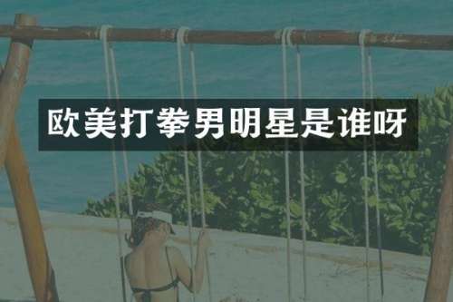 欧美打拳男明星是谁呀