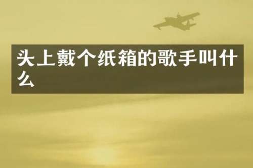 头上戴个纸箱的歌手叫什么