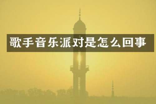 歌手音乐派对是怎么回事