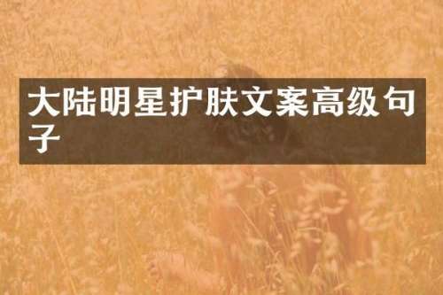 大陆明星护肤文案高级句子