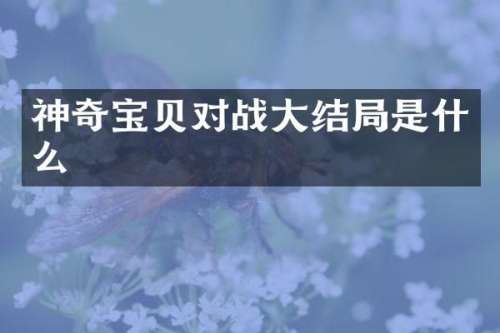 神奇宝贝对战大结局是什么