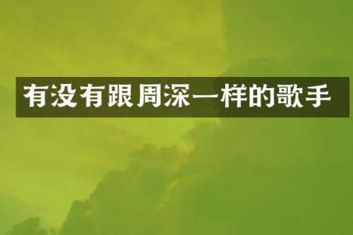 有没有跟一样的歌手