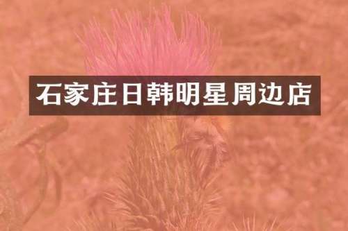 石家庄日韩明星周边店