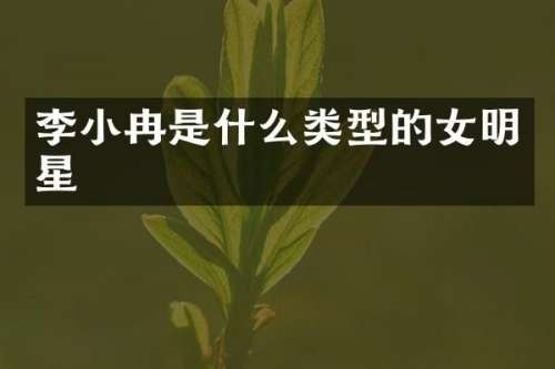 李小冉是什么类型的女明星