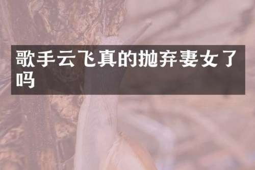 歌手云飞真的抛弃妻女了吗