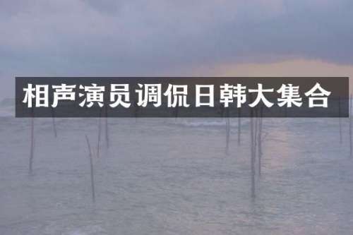 相声演员调侃日韩大集合