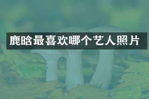 鹿晗最喜欢哪个艺人照片